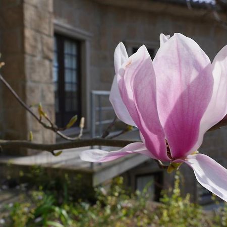 카스트로다이레 Alvores Do Tempo - Quinta De Turismo Rural 게스트하우스 외부 사진